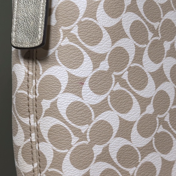 COACH Chelsea Heritage Stripe Hobo/Shoulder Bag - Picture 7 of 17